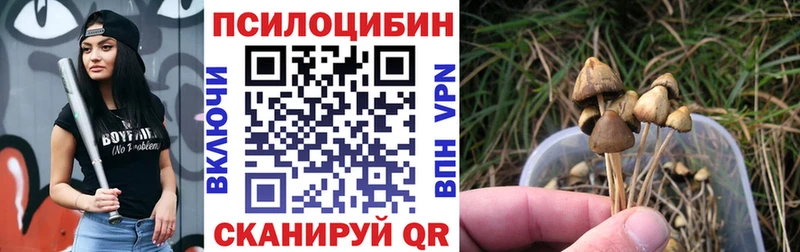 mega ссылка  мориарти Telegram  Галлюциногенные грибы мицелий  Неман 